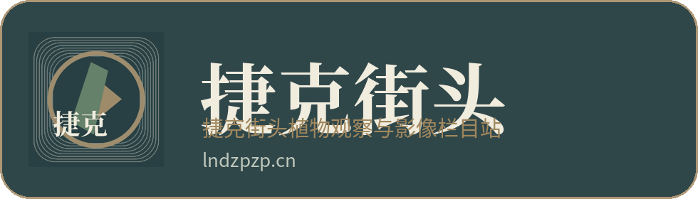 捷克街头